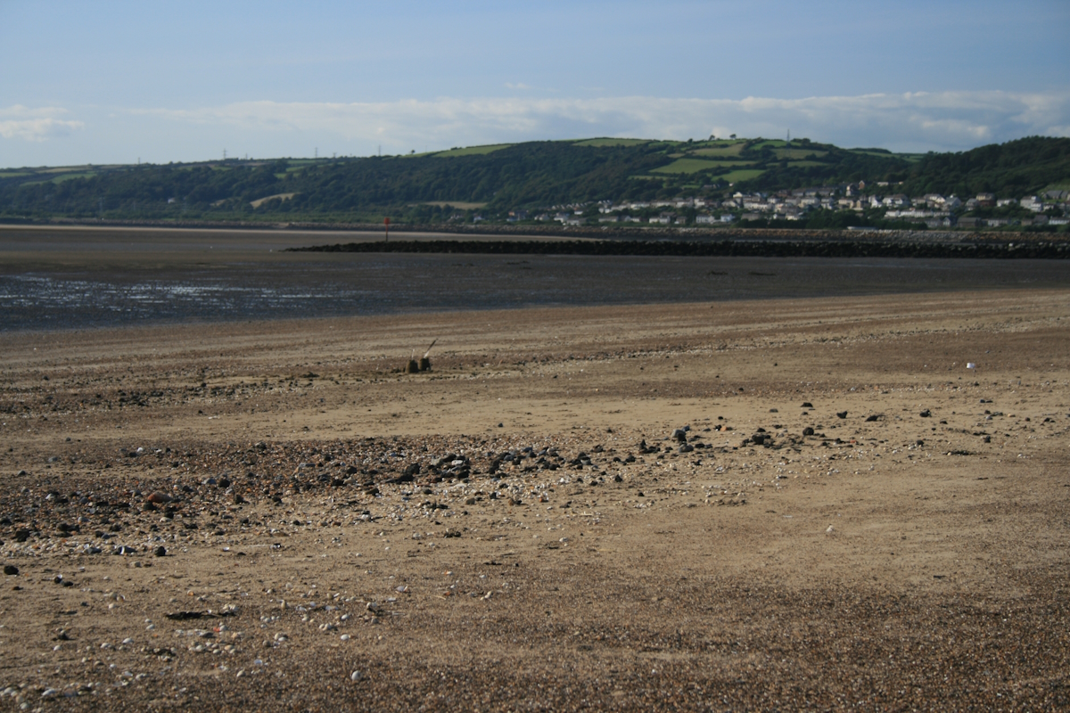 Copyright Judith Oakley/Oakley Intertidal
