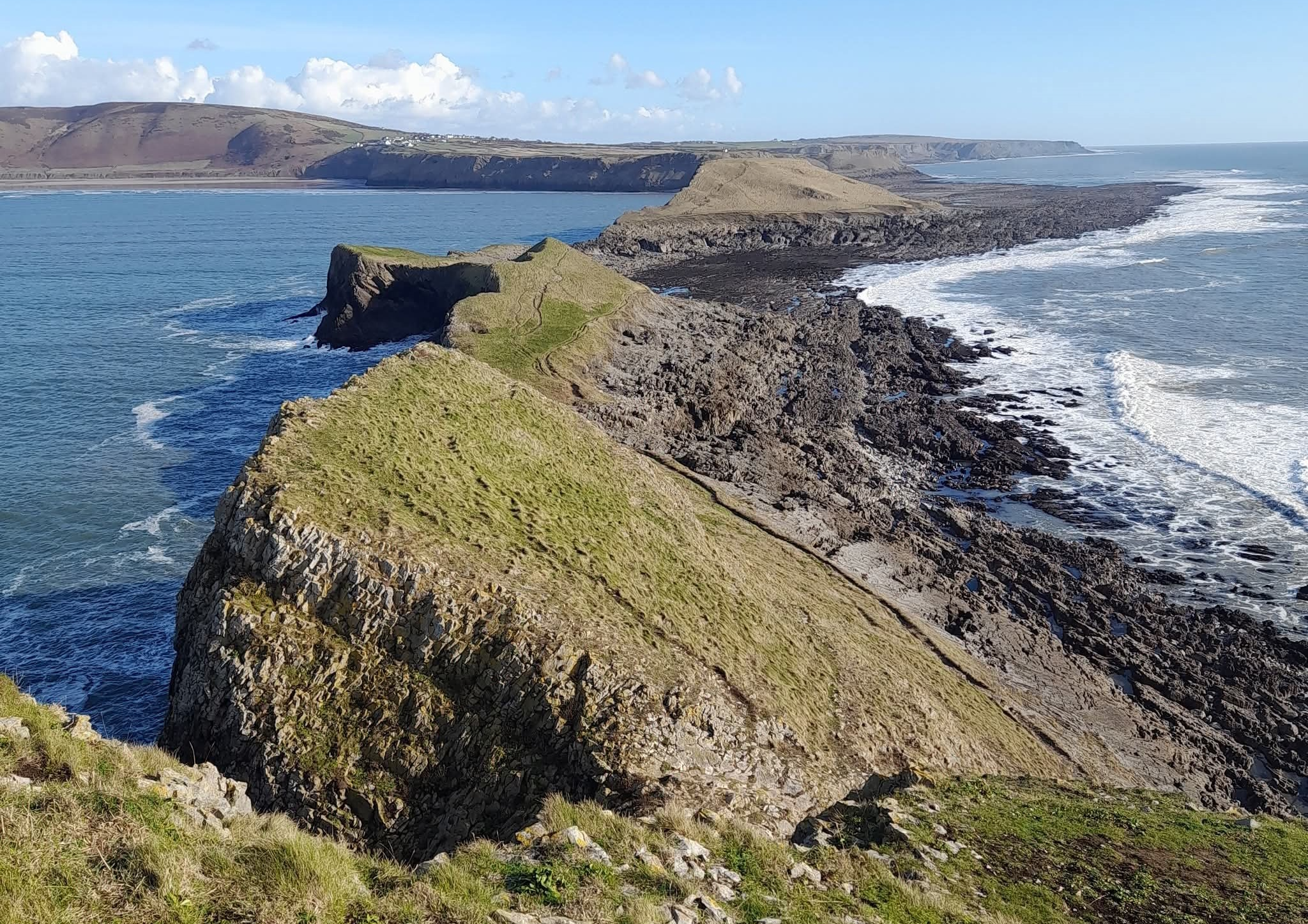 Worm's Head (copyright Judith Oakley/Oakley Intertidal)